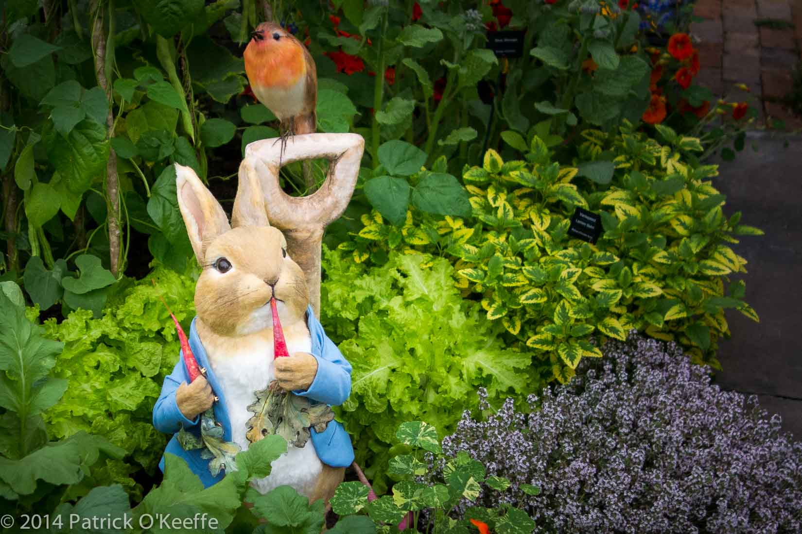 Image Peter Rabbit